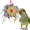 Show in main carousel: Super Bird Creations Pinwheel Bird Toy, Medium slide 1 of 11
