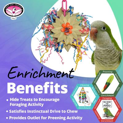 Show full view: Super Bird Creations Pinwheel Bird Toy, Medium slide 5 of 11