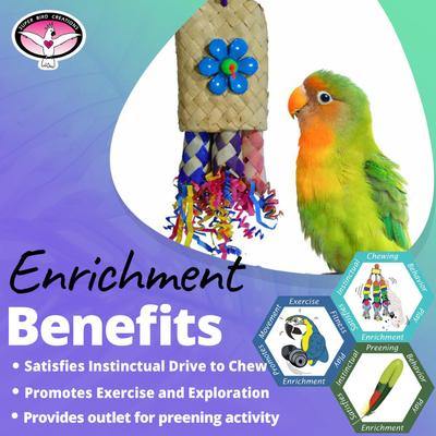 Show full view: Super Bird Creations Pocket Rocket Bird Toy slide 2 of 7