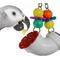 Show in main carousel: Super Bird Creations PVC Forager Bird Toy, Medium/Large slide 1 of 11