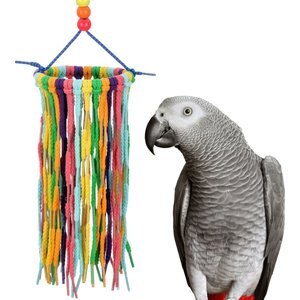 Super Bird Creations Rainbow Aglets Preening Bird Toy, Large