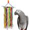 Show in main carousel: Super Bird Creations Rainbow Aglets Preening Bird Toy, Large slide 1 of 7