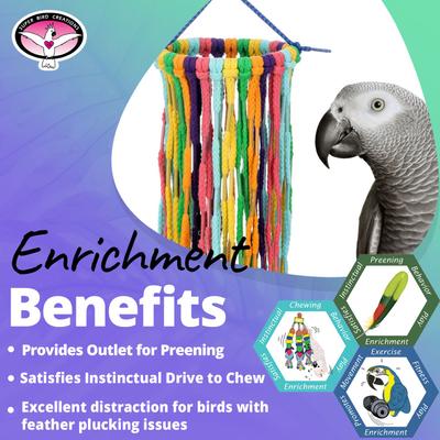 Show full view: Super Bird Creations Rainbow Aglets Preening Bird Toy, Large slide 5 of 7