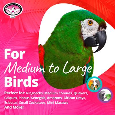 Show full view: Super Bird Creations Rainbow Aglets Preening Bird Toy, Large slide 4 of 7