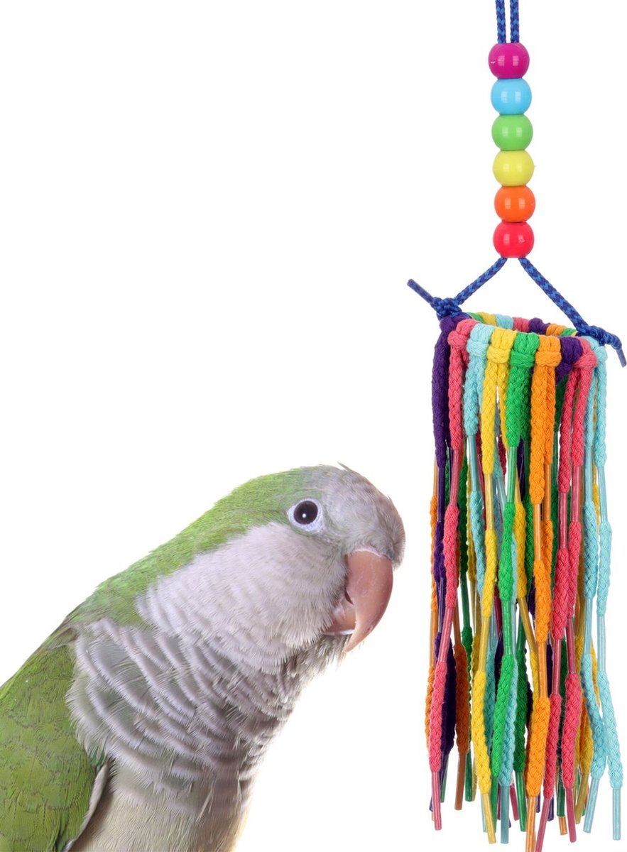 Super Bird Creations Rainbow Aglets Preening Bird Toy