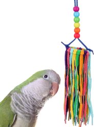 Super Bird Creations Rainbow Aglets Preening Bird Toy, Small