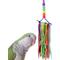 Show in main carousel: Super Bird Creations Rainbow Aglets Preening Bird Toy, Small slide 1 of 7