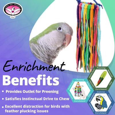 Show full view: Super Bird Creations Rainbow Aglets Preening Bird Toy, Small slide 5 of 7