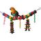 Show in main carousel: Super Bird Creations Rainbow Bridge Bird Toy, Medium/Large slide 4 of 10