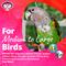 Show in main carousel: Super Bird Creations Rainbow Bridge Bird Toy, Medium/Large slide 6 of 10