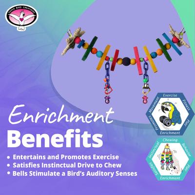 Show full view: Super Bird Creations Rainbow Bridge Bird Toy, Small slide 4 of 10