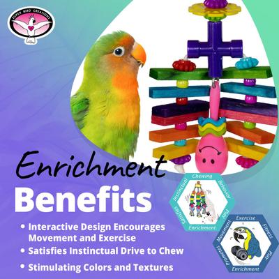 Show full view: Super Bird Creations Rainbow Rattler Bird Toy slide 3 of 7