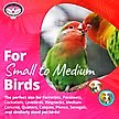 Show in main carousel: Super Bird Creations Rainbow Rattler Bird Toy slide 4 of 7