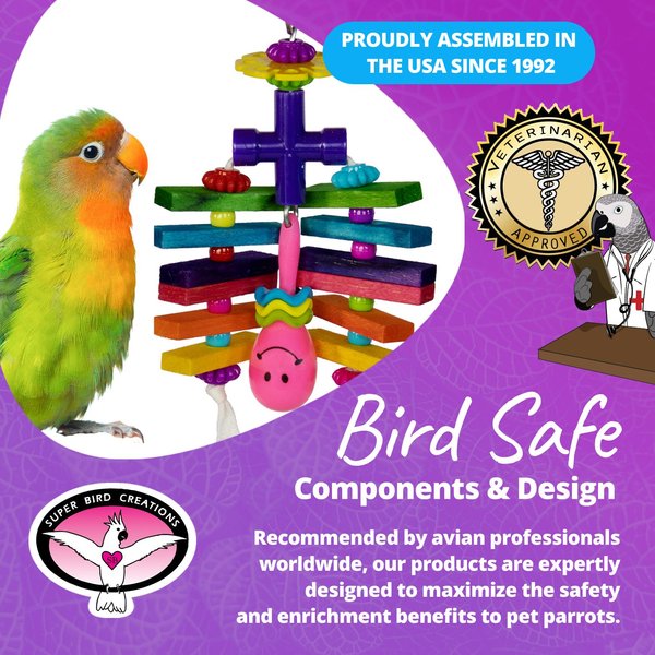Show full view: Super Bird Creations Rainbow Rattler Bird Toy slide 6 of 7