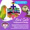 Show in main carousel: Super Bird Creations Rainbow Rattler Bird Toy slide 6 of 7