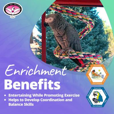 Show full view: Super Bird Creations Rope Bungee Bird Perch, Color Varies, Large slide 4 of 9