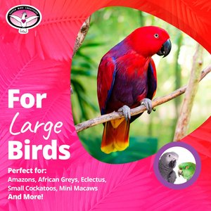 Super Bird Creations Rope Bungee Bird Perch, Color Varies, Large