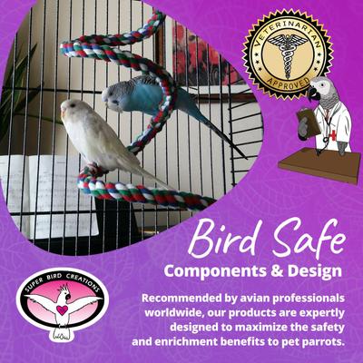 Show full view: Super Bird Creations Rope Bungee Bird Perch, Color Varies, Small slide 7 of 9