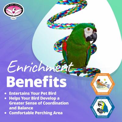 Show full view: Super Bird Creations Rope Bungee Bird Perch, Color Varies, X-Large slide 4 of 10