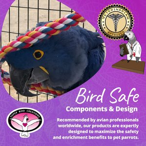 Super Bird Creations Rope Bungee Bird Perch, Color Varies, X-Large