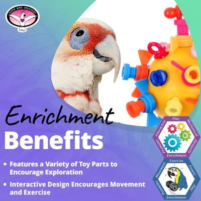 Show full view: Super Bird Creations Screwball Exercise Bird Toy slide 5 of 7