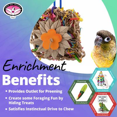 Show full view: Super Bird Creations Seagrass Sandwhich Conure Preening Toy slide 5 of 7