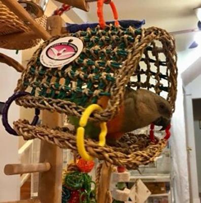 Show full view: Super Bird Creations Seagrass Tent Bird Toy slide 4 of 9