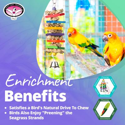 Show full view: Super Bird Creations Seagrass Wafers Bird Toy, Medium slide 4 of 10