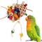 Show in main carousel: Super Bird Creations Sidewinder Conure Preening Toy slide 1 of 7