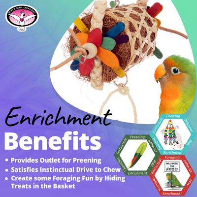 Show full view: Super Bird Creations Sidewinder Conure Preening Toy slide 5 of 7