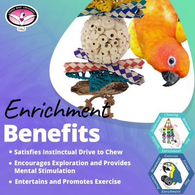 Show full view: Super Bird Creations Sola Ball Delight Conure Chewable Toy slide 5 of 8