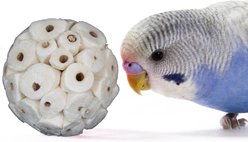 Super Bird Creations Sola Chewable Bird Toy, 4-cm, 6 count