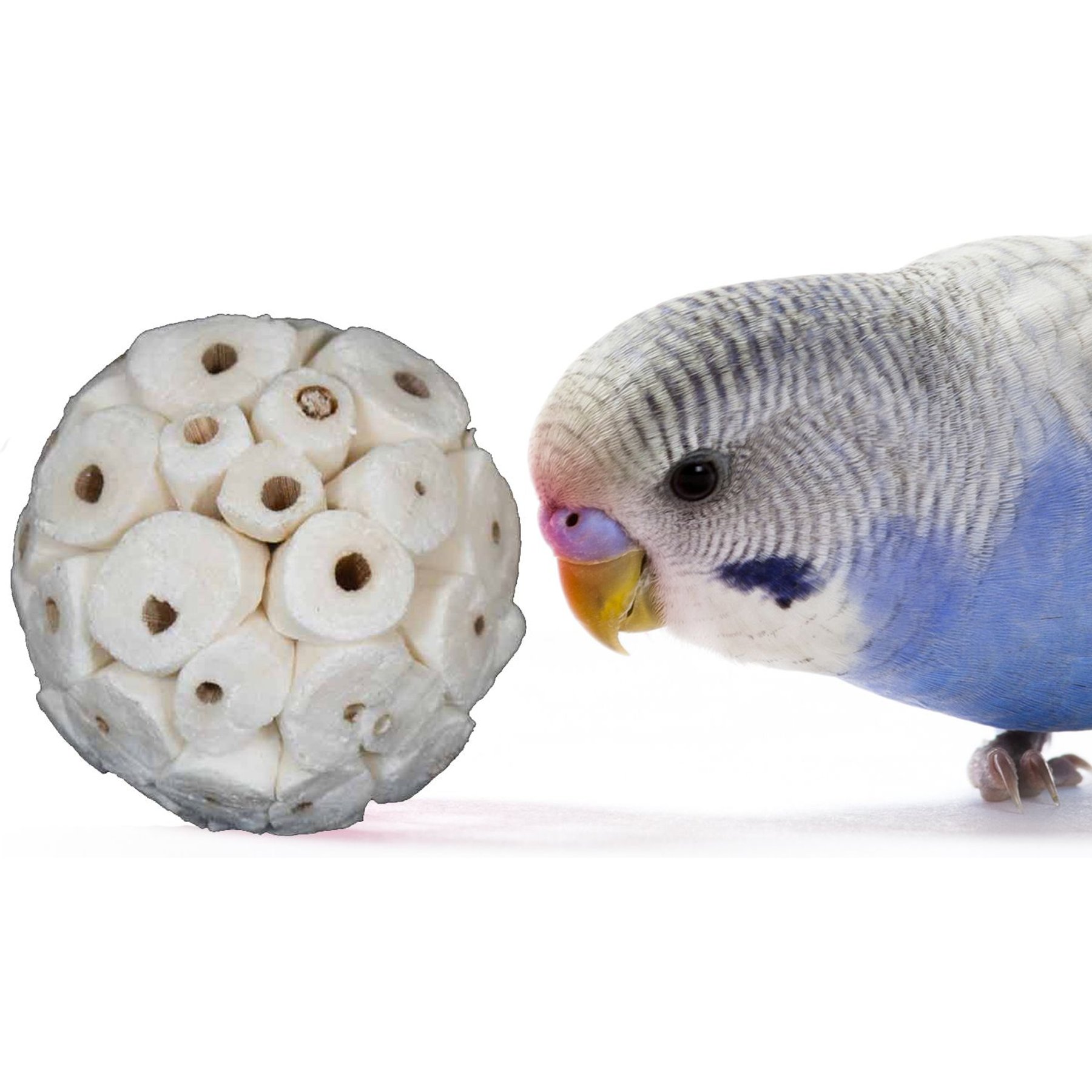 Super Bird Creations Sola Chewable Bird Toy, 4-cm, 6 count