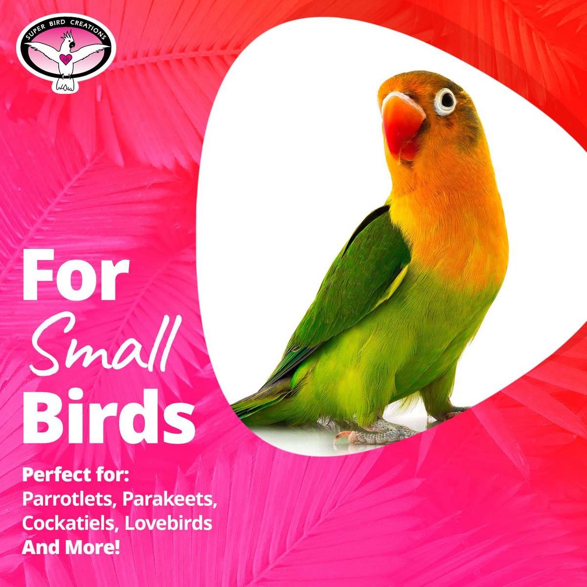 Birdology Sola Atta & Sola Cabbage Bird Toy, 4 count, 2.5-in