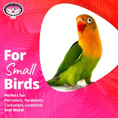 Show full view: Super Bird Creations Sola Chewable Bird Toy, 4-cm, 6 count slide 3 of 7