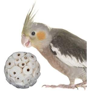 Super Bird Creations Sola Chewable Bird Toy, 6-cm, 4 count