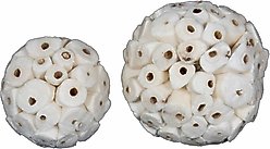 Super Bird Creations Sola Chewable Bird Toy, 6-cm, 4 count slide 2 of 6