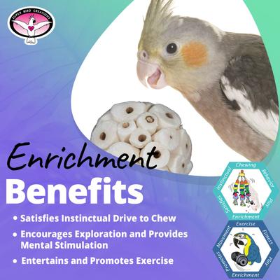 Show full view: Super Bird Creations Sola Chewable Bird Toy, 6-cm, 4 count slide 4 of 7