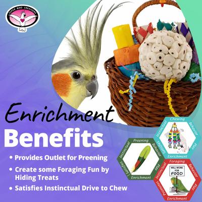 Show full view: Super Bird Creations Sola Party Basket Conure Chewable Toy slide 5 of 7