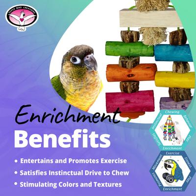 Show full view: Super Bird Creations Sola Surprise Bird Toy slide 3 of 7