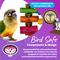 Show in main carousel: Super Bird Creations Sola Surprise Bird Toy slide 6 of 7