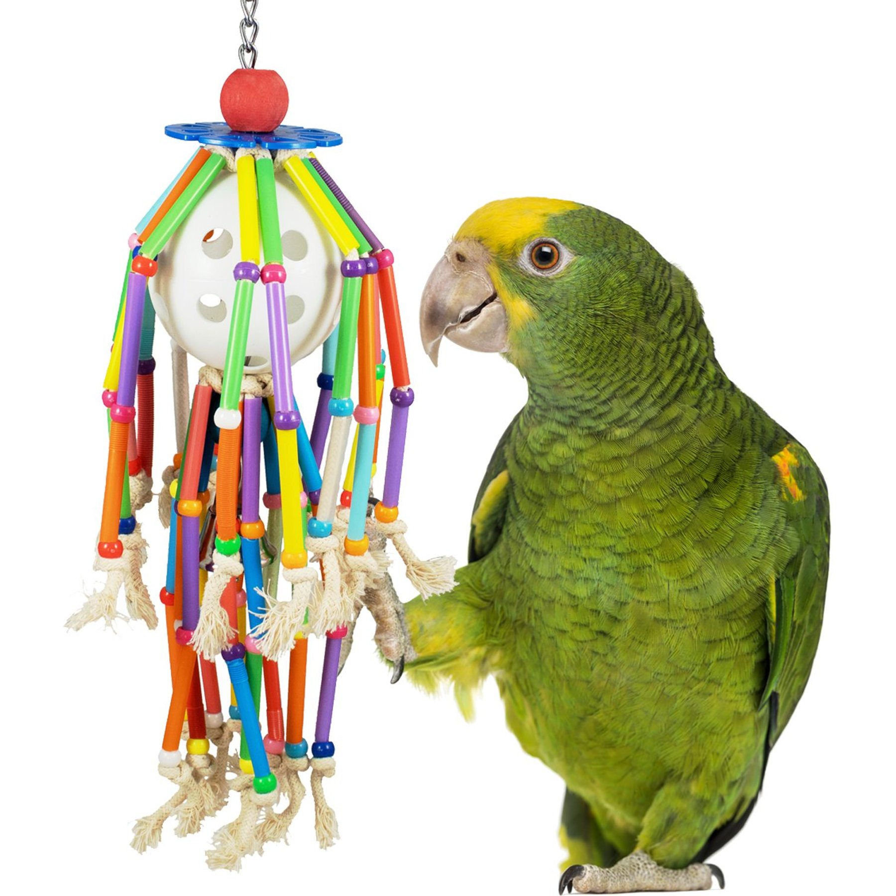 Super Bird Creations Squiggy Preening Bird Toy