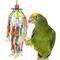 Show in main carousel: Super Bird Creations Squiggy Preening Bird Toy slide 1 of 7