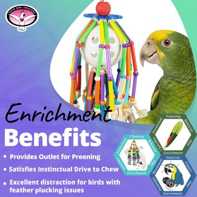 Show full view: Super Bird Creations Squiggy Preening Bird Toy slide 5 of 7