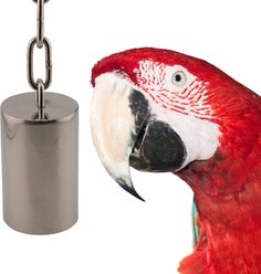 Super Bird Creations SS Tube Bell Exercise Bird Toy, Large