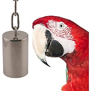 Super Bird Creations SS Tube Bell Exercise Bird Toy, Large