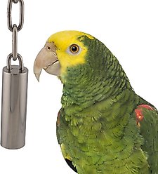 Super Bird Creations SS Tube Bell Exercise Bird Toy, Small