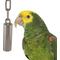 Show in main carousel: Super Bird Creations SS Tube Bell Exercise Bird Toy, Small slide 1 of 8