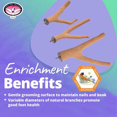 Show full view: Super Bird Creations Sure-Grip Grooming Y Bird Perch, Medium slide 4 of 8