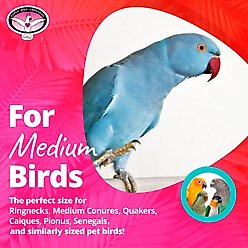 Super Bird Creations Tweet Heart Chewable Bird Toy slide 2 of 7